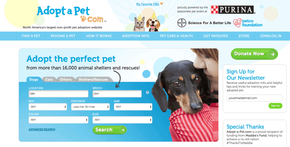 The Top Pet Website For 2021 Adoption, Vets, Resources
