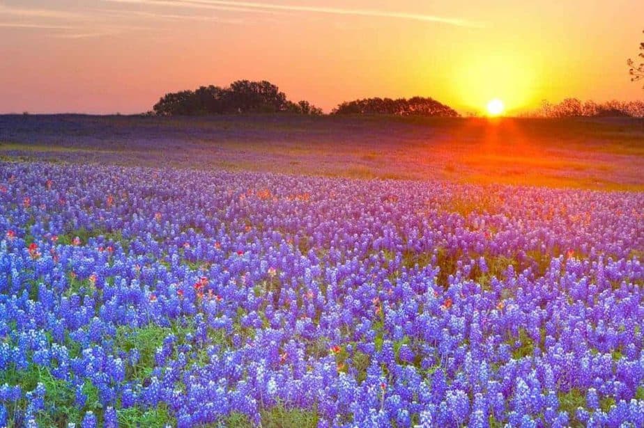 Texas Hill Country