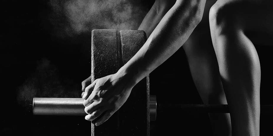 protein powder reviews