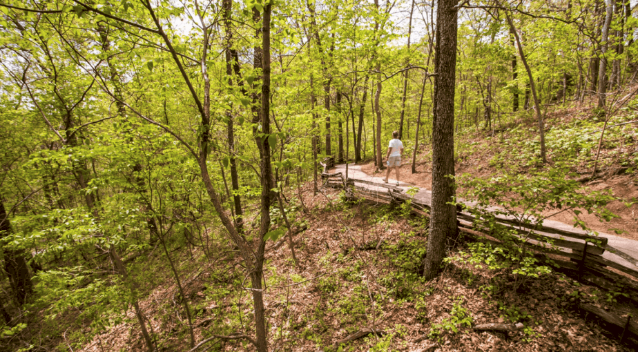 The Ozarks