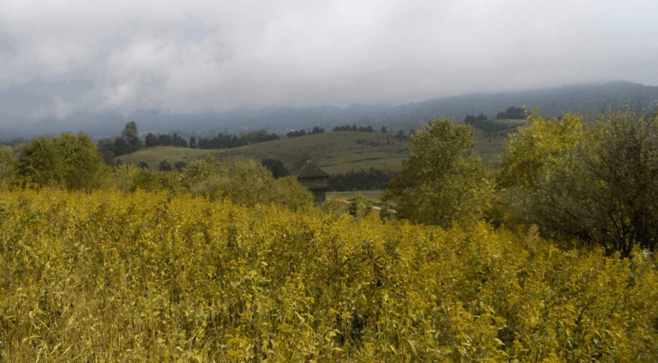 Virginia Birding and Wildlife Trail