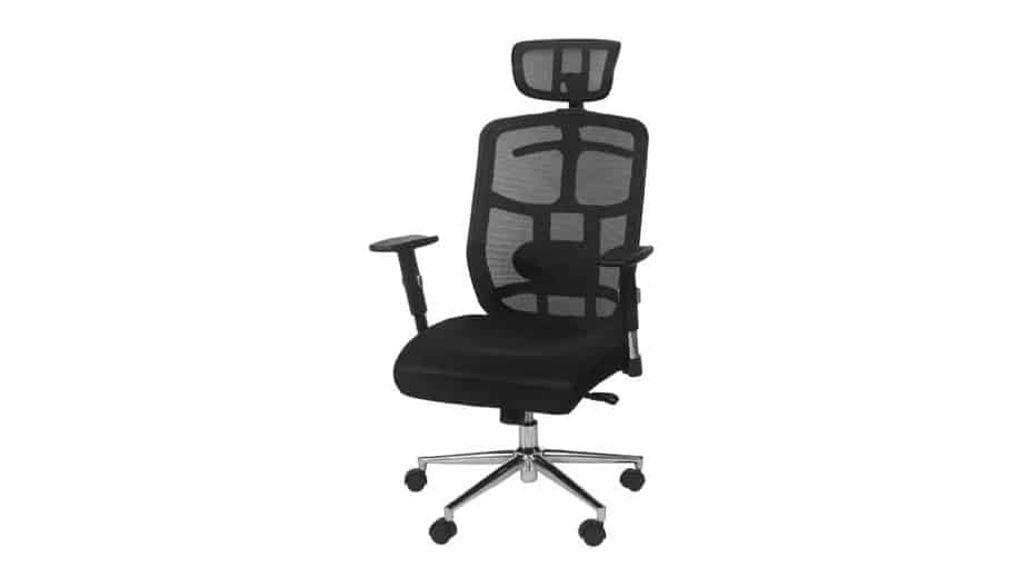 10 Best Ergonomic Office Chairs For Back Pain Shopping And User Guide Rave Reviews