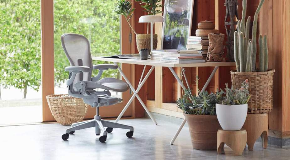 The 10 Best Ergonomic Office Chairs For Back Pain For 2020 Rave