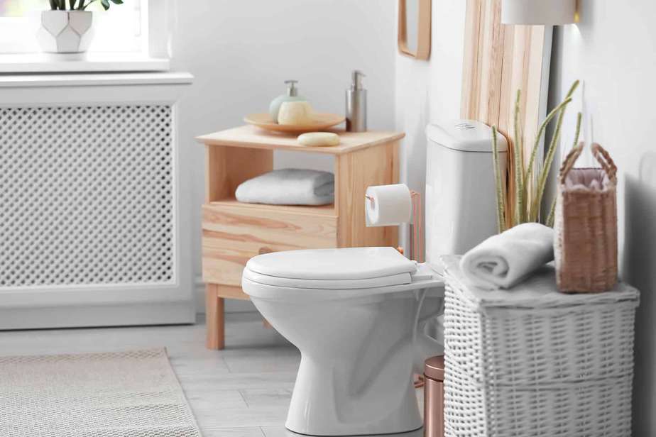 The 10 Best Toilets For 2020 Rave Reviews The 10 Best Toilets For 2020 Rave Reviews