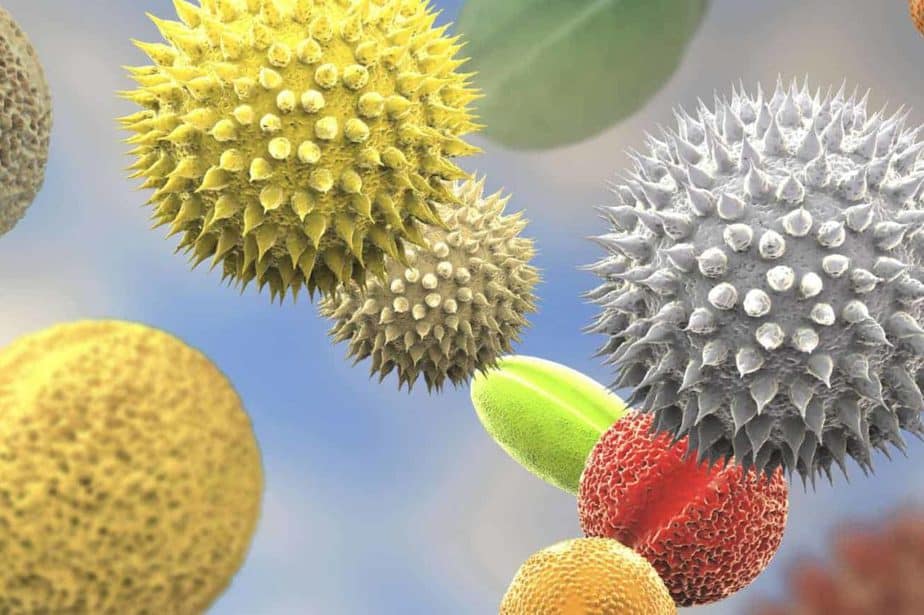 Best Air Purifiers for Allergies