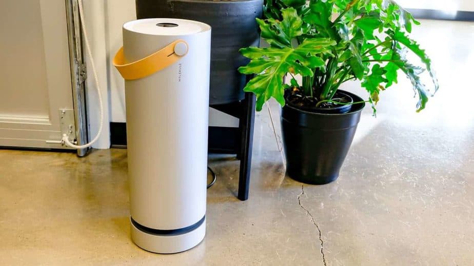 top air purifiers for mold