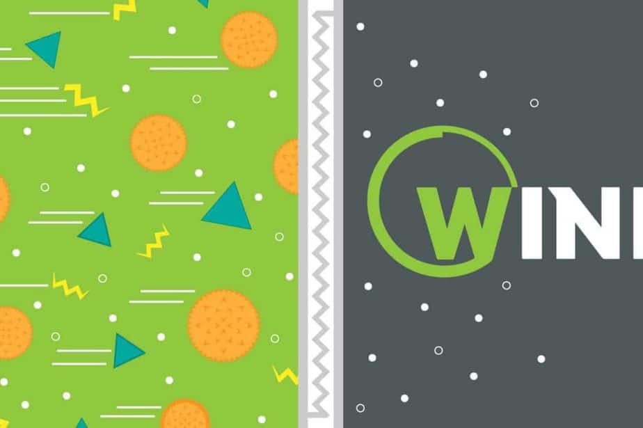 Winix Air Purifier Review