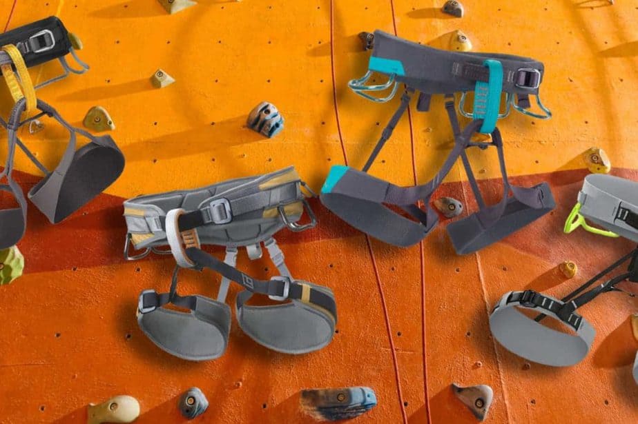 Best Climbing Harness