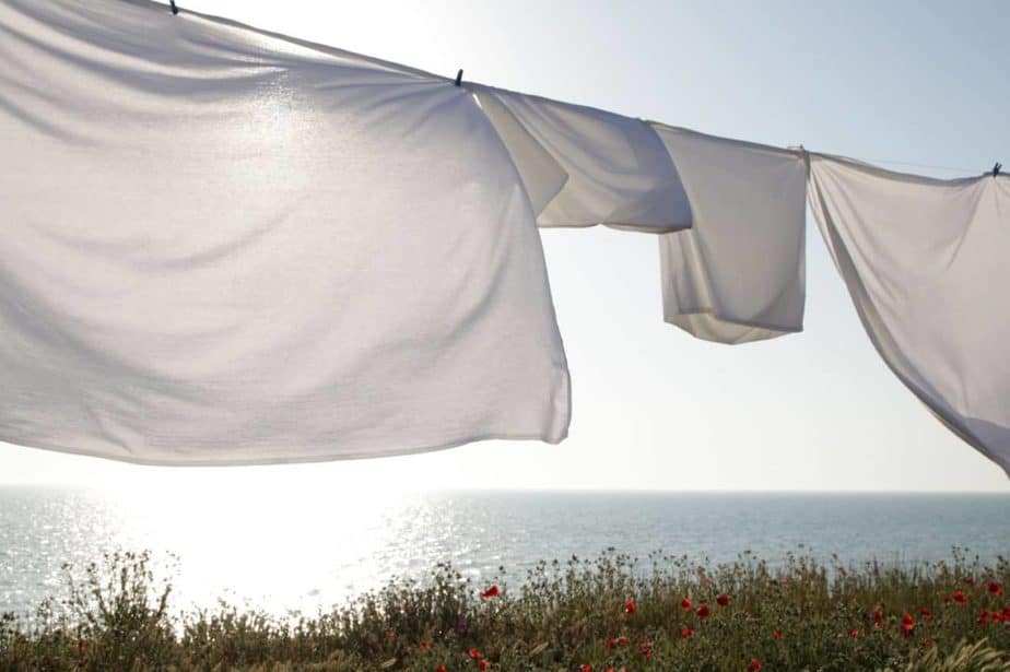 Best Cotton Sheets