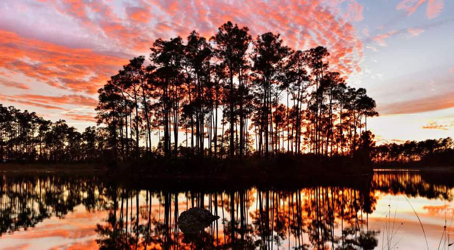 The Everglades, FL