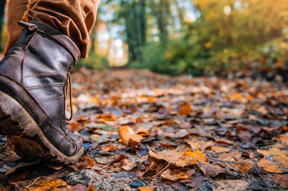 Best Hiking Boots