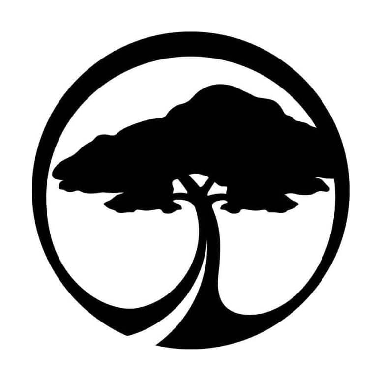 Arbor Snowboards
