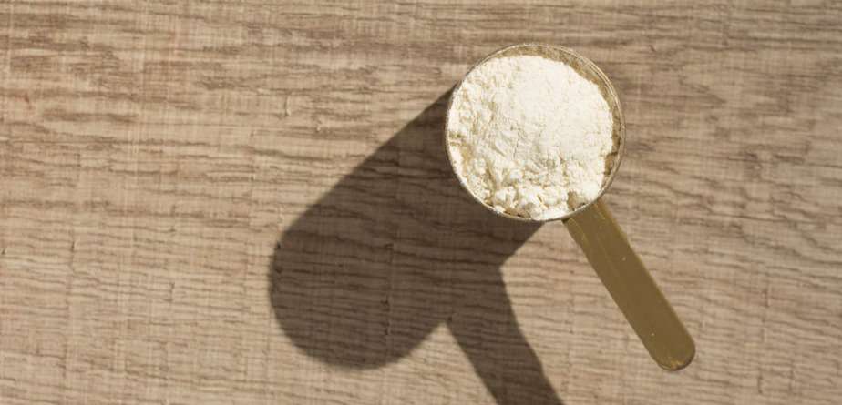 The 10 Best Keto Protein Powders: Vegan, Natural, And More