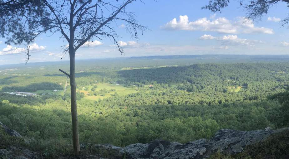 Steele, AL