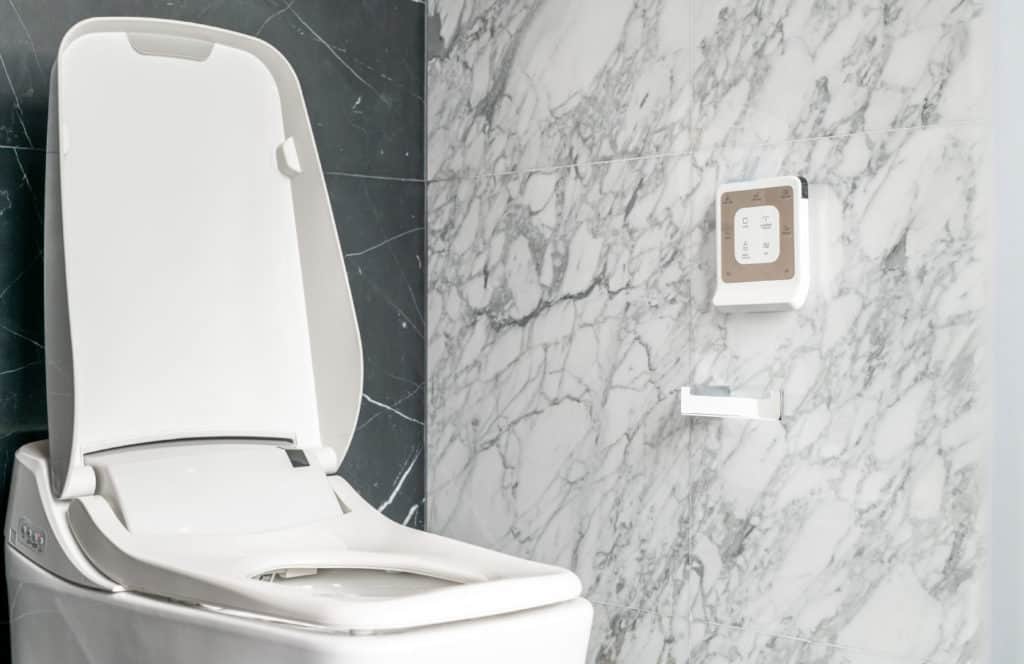 Is the best smart toilet worth more than a regular toilet to you? 