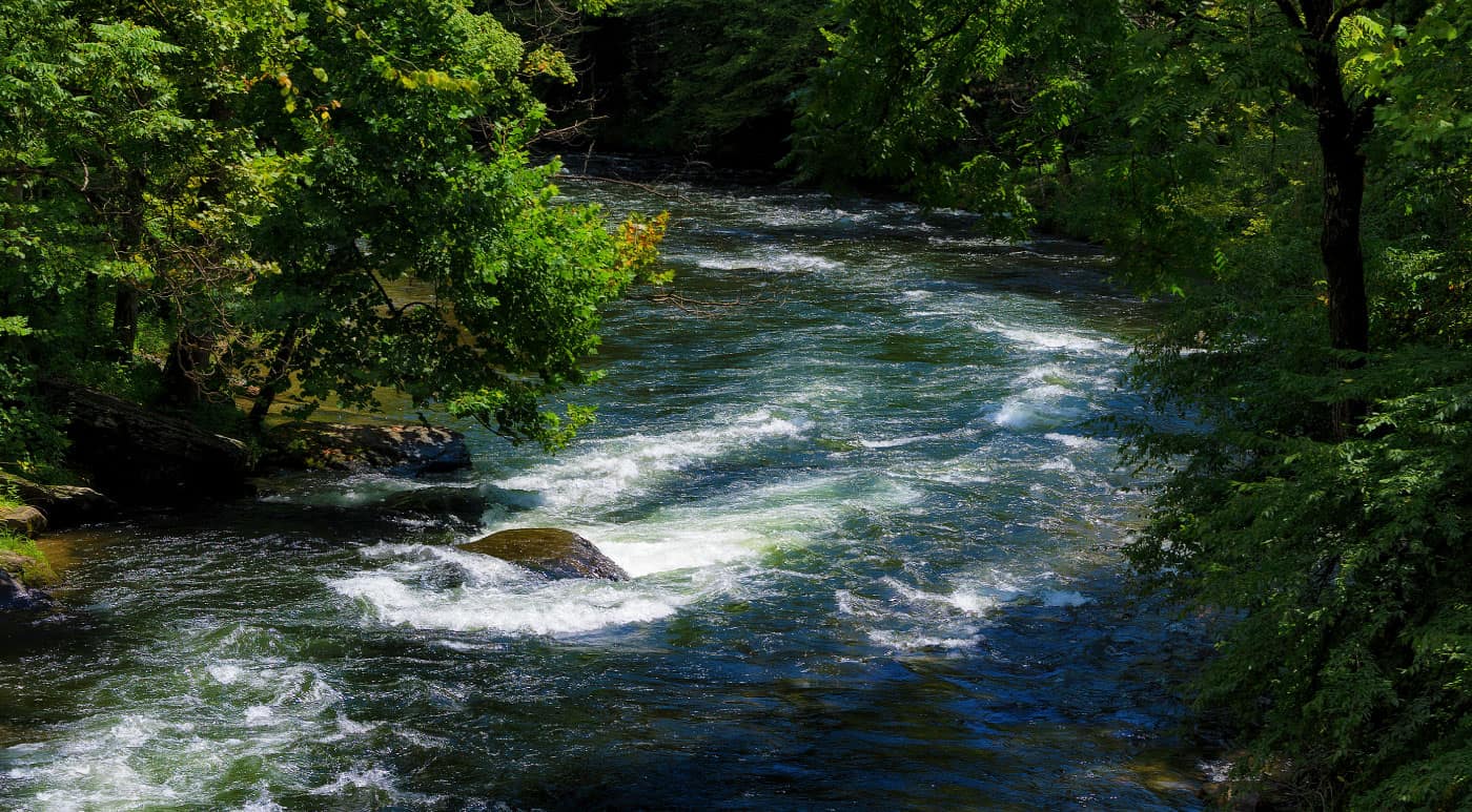 Nantahala Gorge offers great whitewater rafting