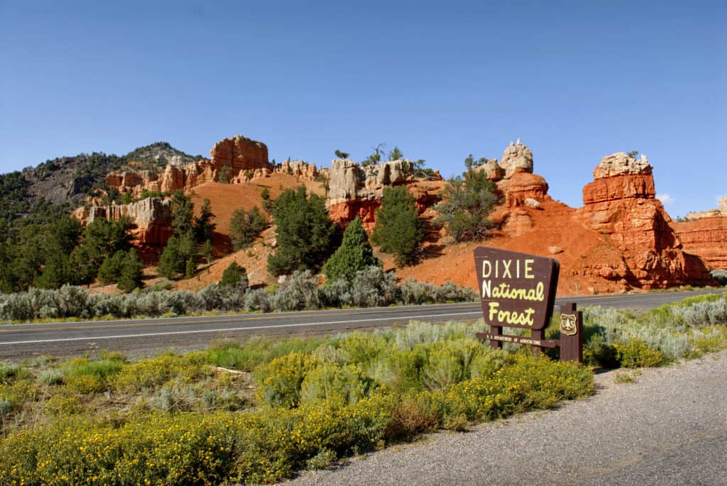 Bike trail in Dixie National Forest