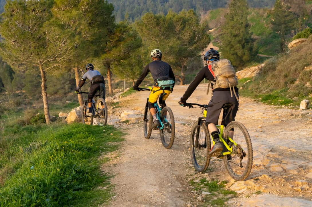 Best Mountain Biking Trail