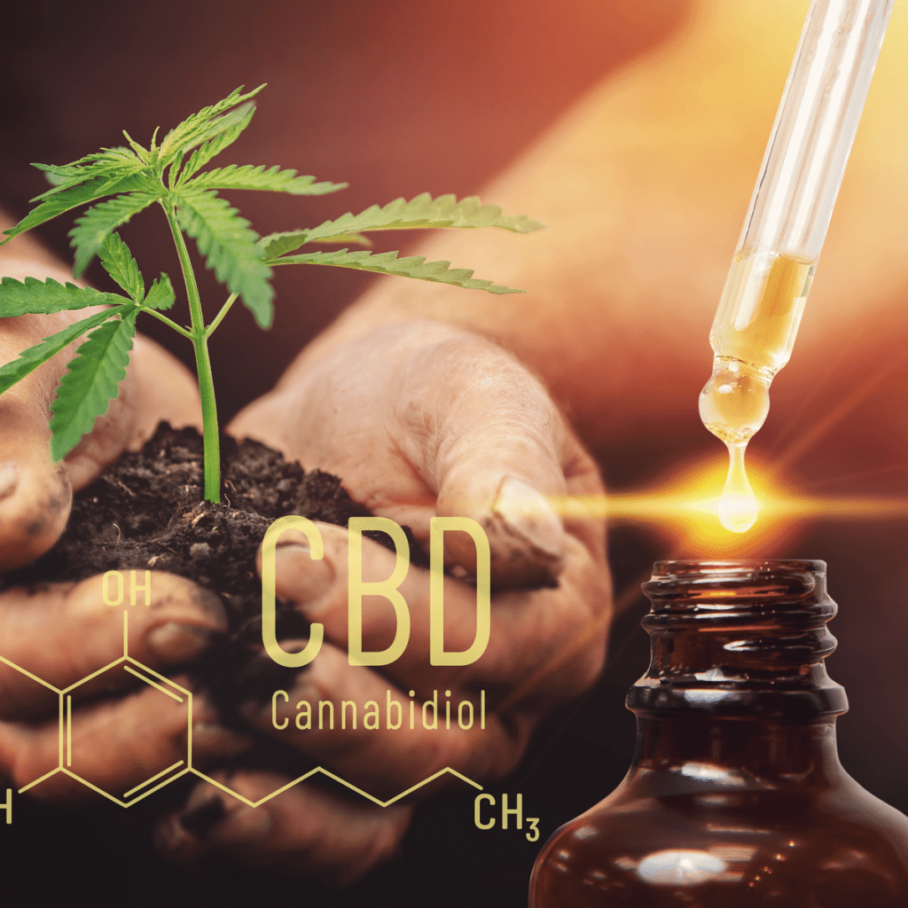 Best CBD Shops in The Midwest