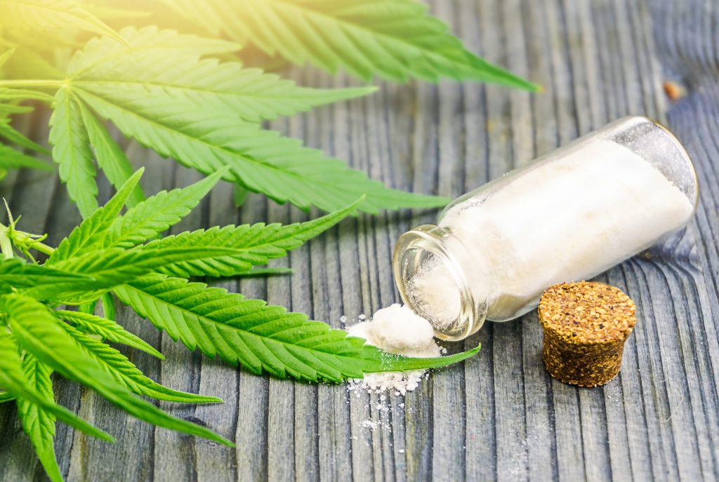 the best CBD brands in the world