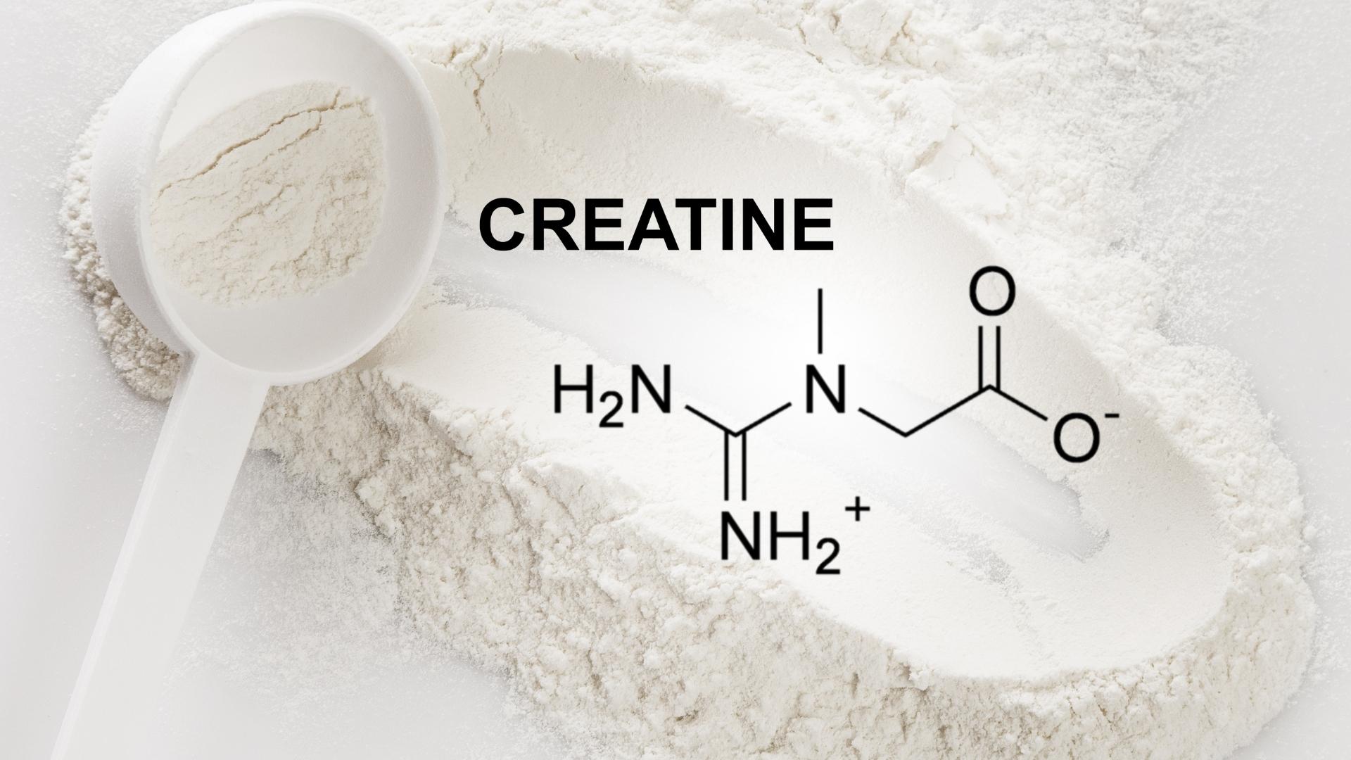 Creatine Monohydrate - pre-workout ingredients increase strength