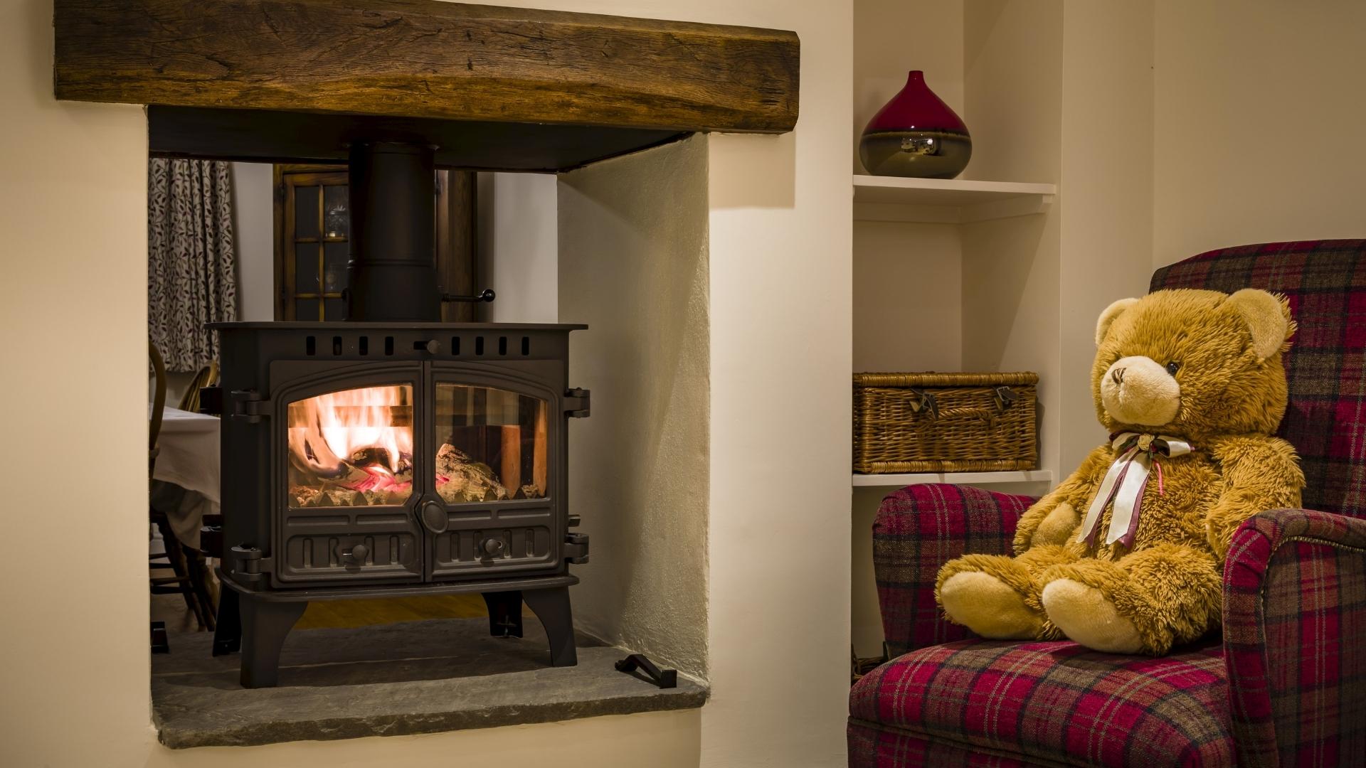 typical wood stove in modern homes