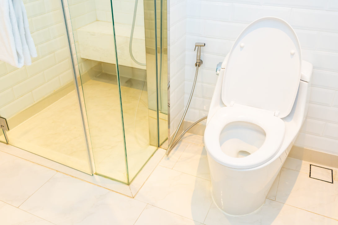 toilet bowl cleaning hack