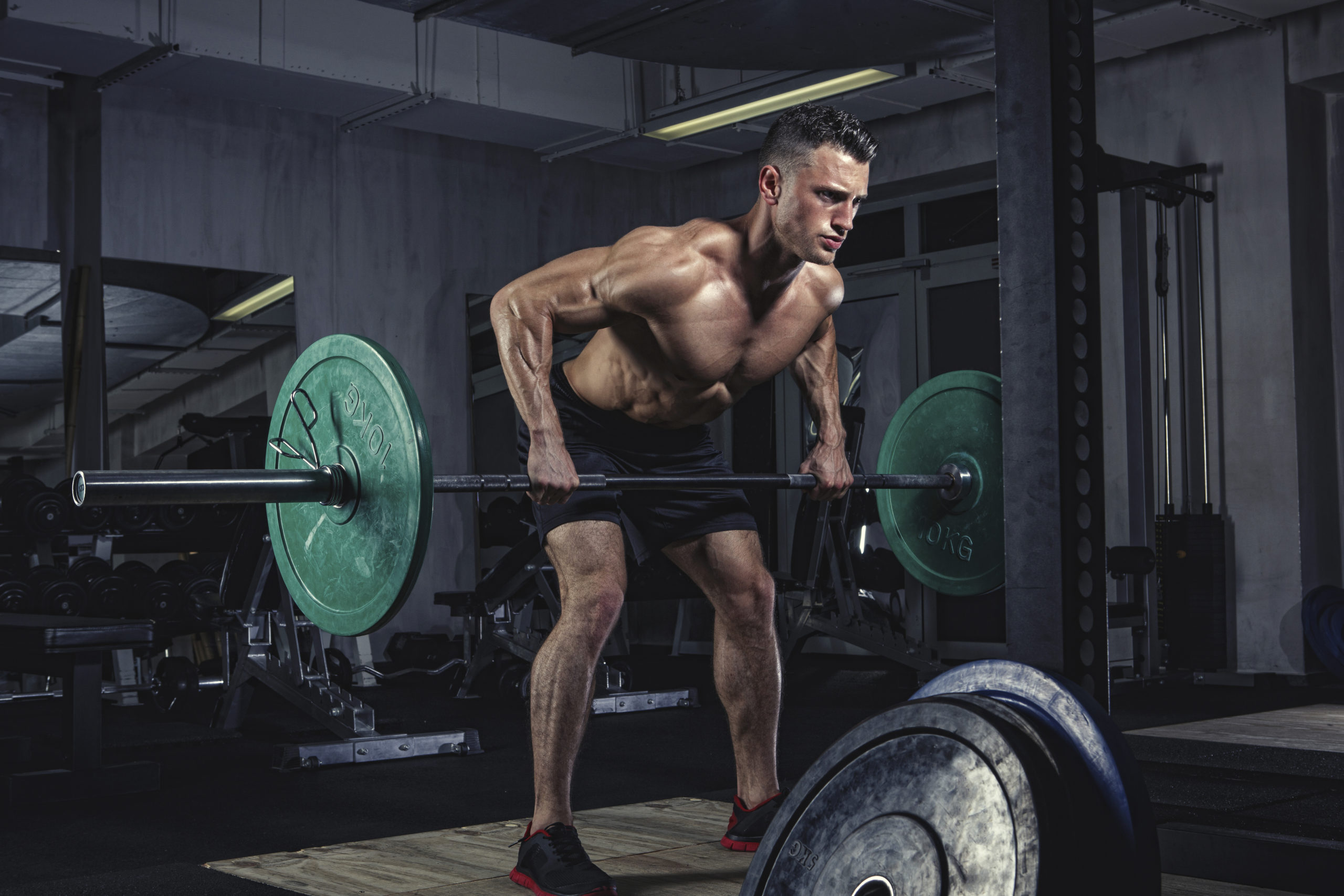 how to use beta alanine supplements