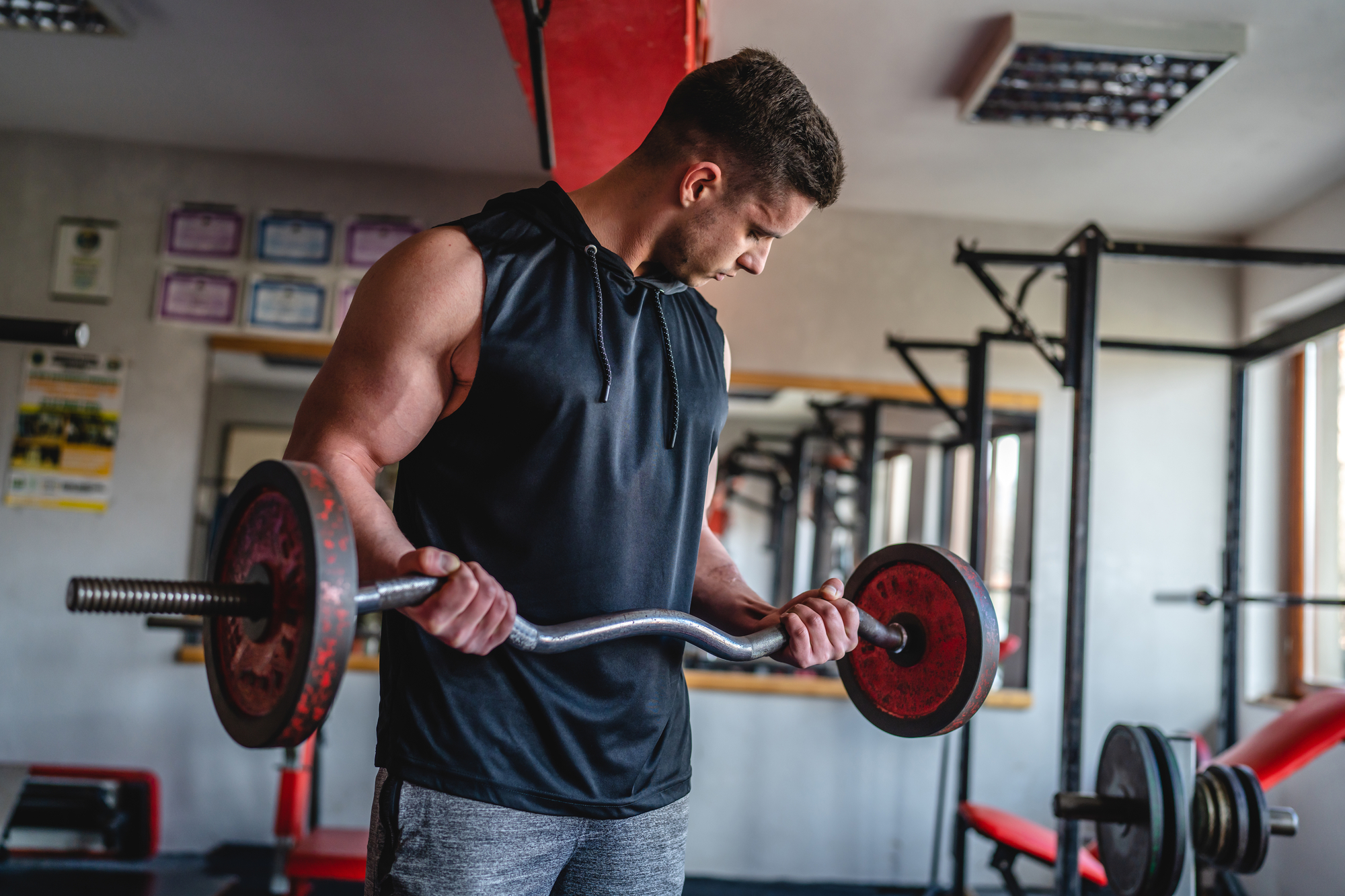 Fit man working out his biceps with a curl bar in a fitness center